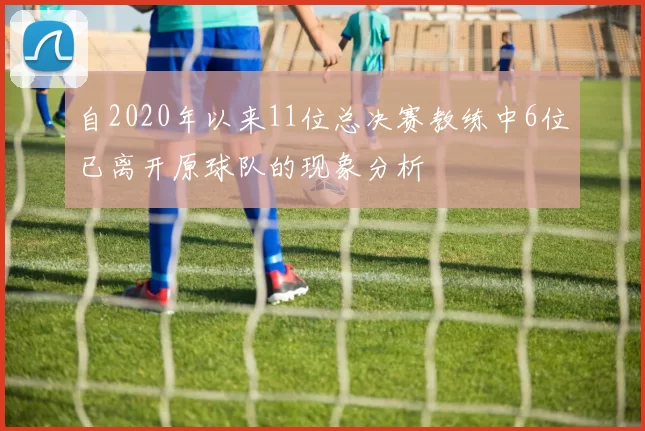 自2020年以来11位总决赛教练中6位已离开原球队的现象分析