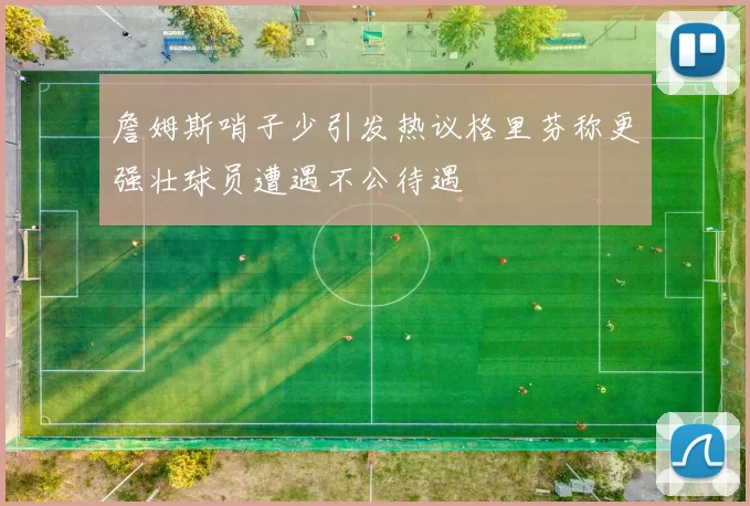 詹姆斯哨子少引发热议格里芬称更强壮球员遭遇不公待遇