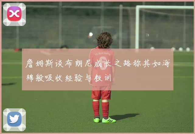 詹姆斯谈布朗尼成长之路称其如海绵般吸收经验与教训
